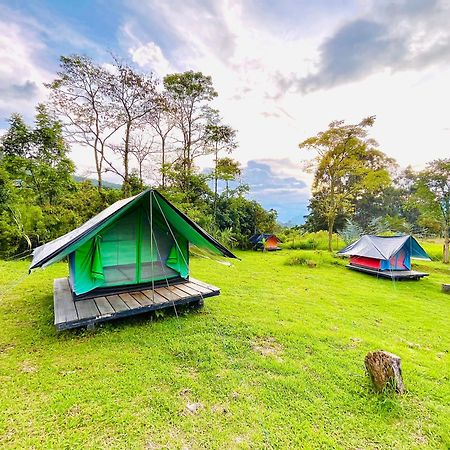 Ecoxplora-Zona De Camping Jardín Εξωτερικό φωτογραφία