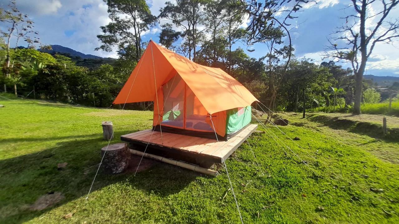 Ecoxplora-Zona De Camping Jardín Εξωτερικό φωτογραφία