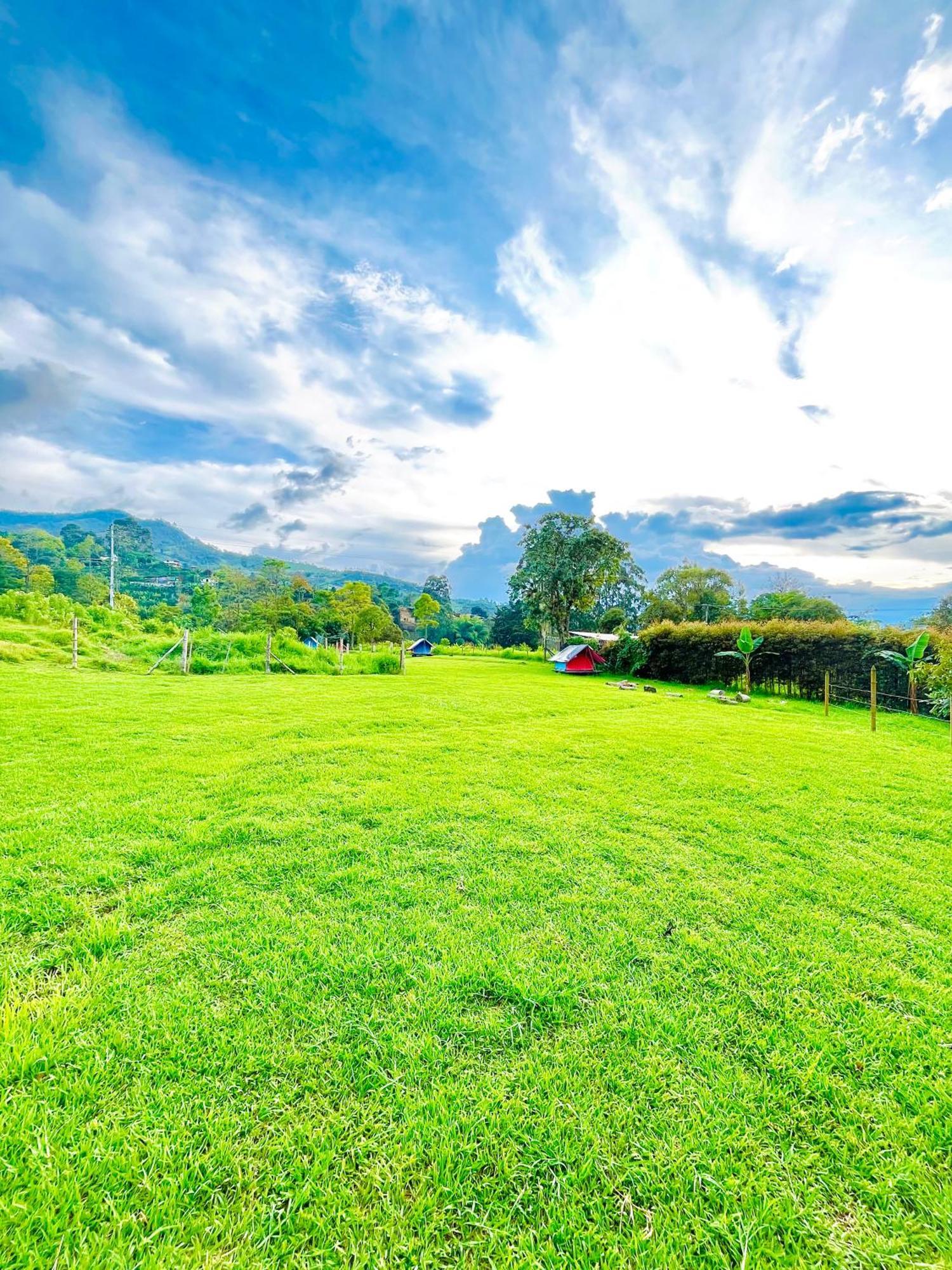 Ecoxplora-Zona De Camping Jardín Εξωτερικό φωτογραφία