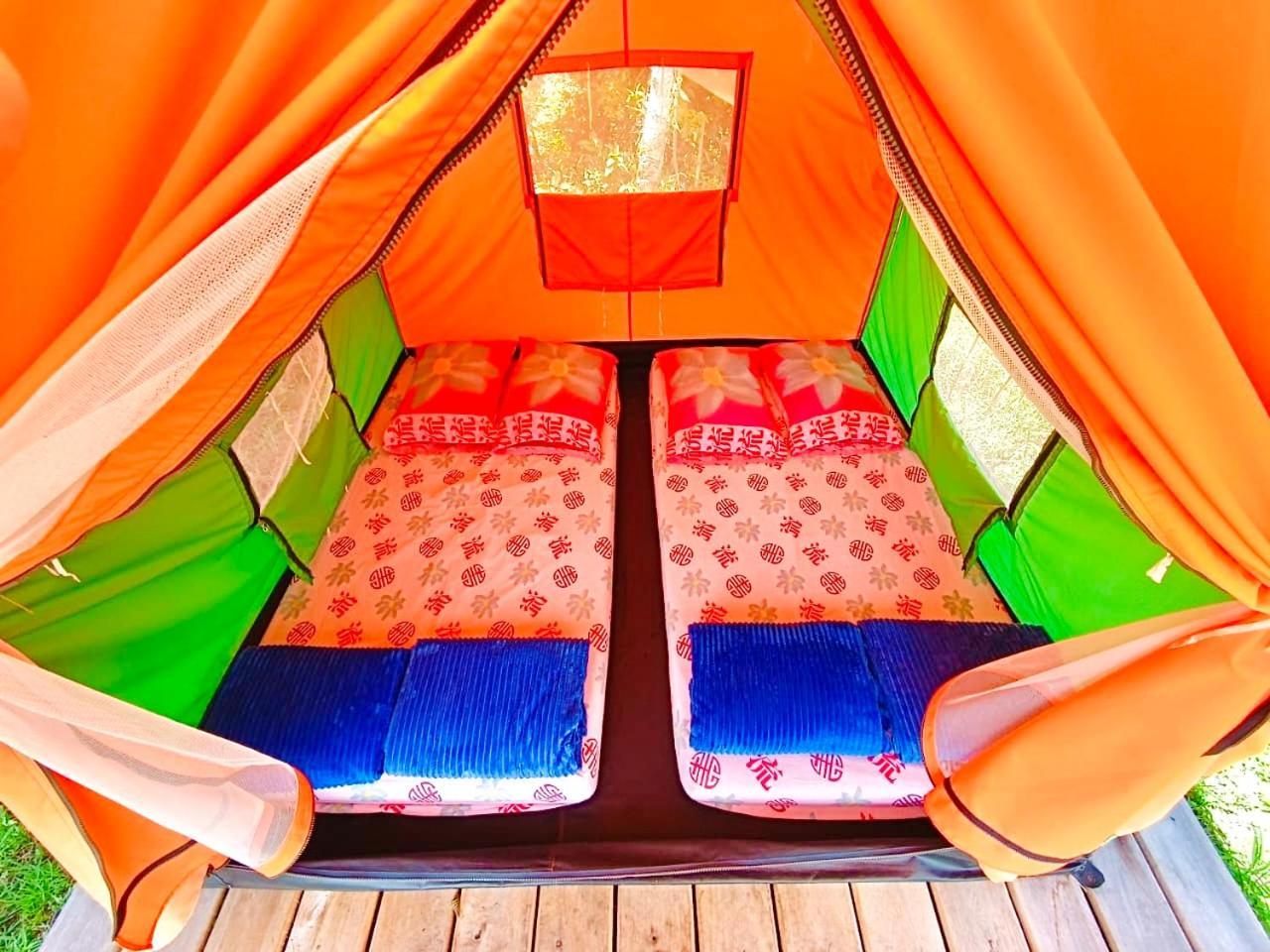 Ecoxplora-Zona De Camping Jardín Εξωτερικό φωτογραφία