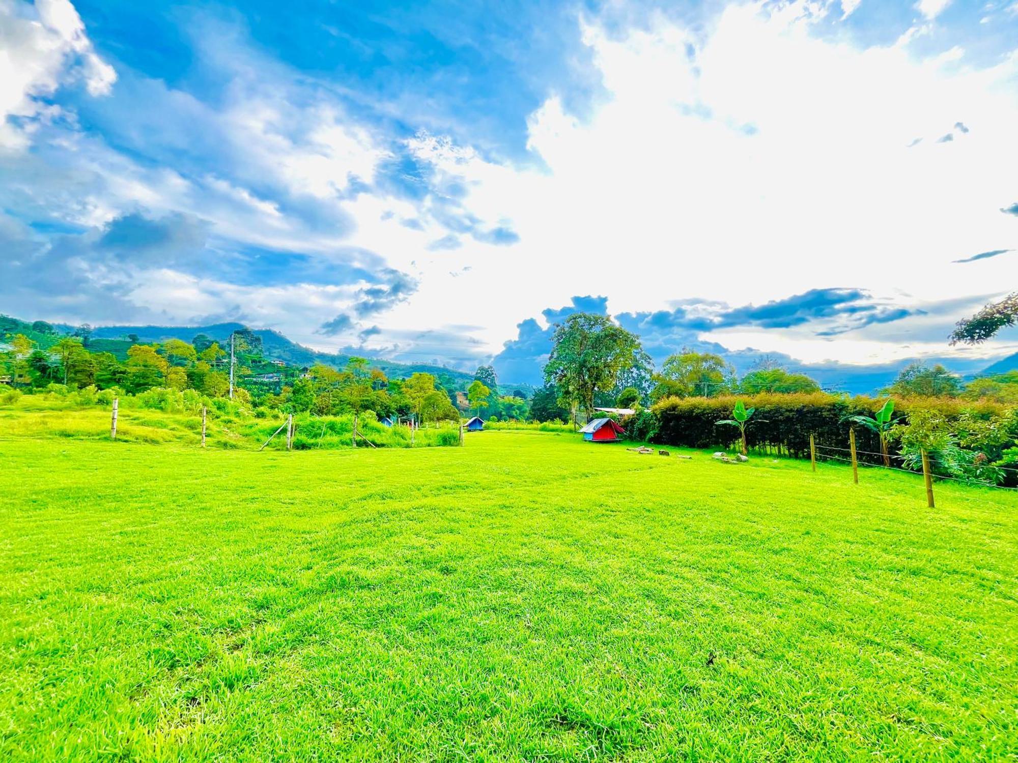 Ecoxplora-Zona De Camping Jardín Εξωτερικό φωτογραφία