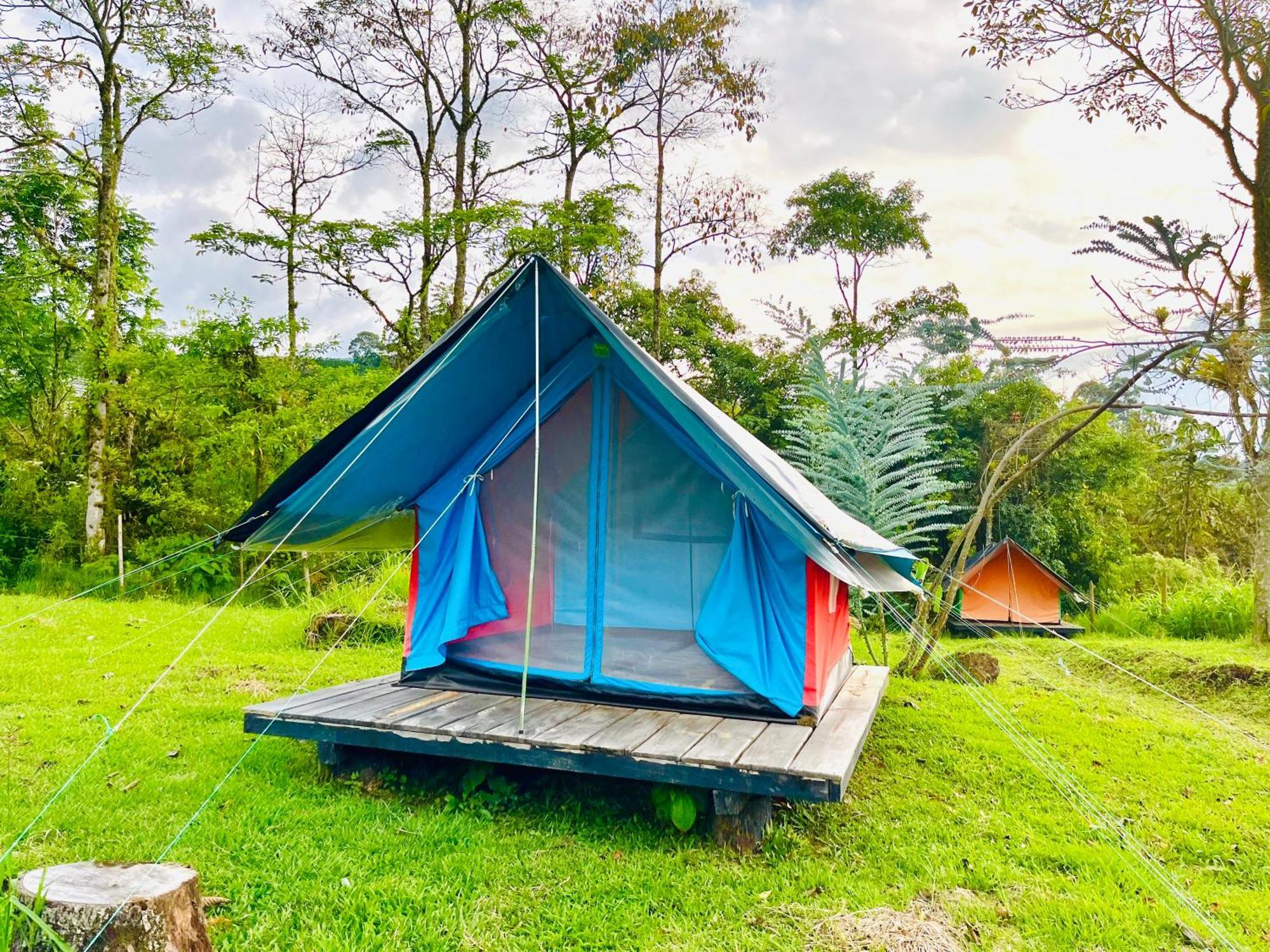 Ecoxplora-Zona De Camping Jardín Εξωτερικό φωτογραφία