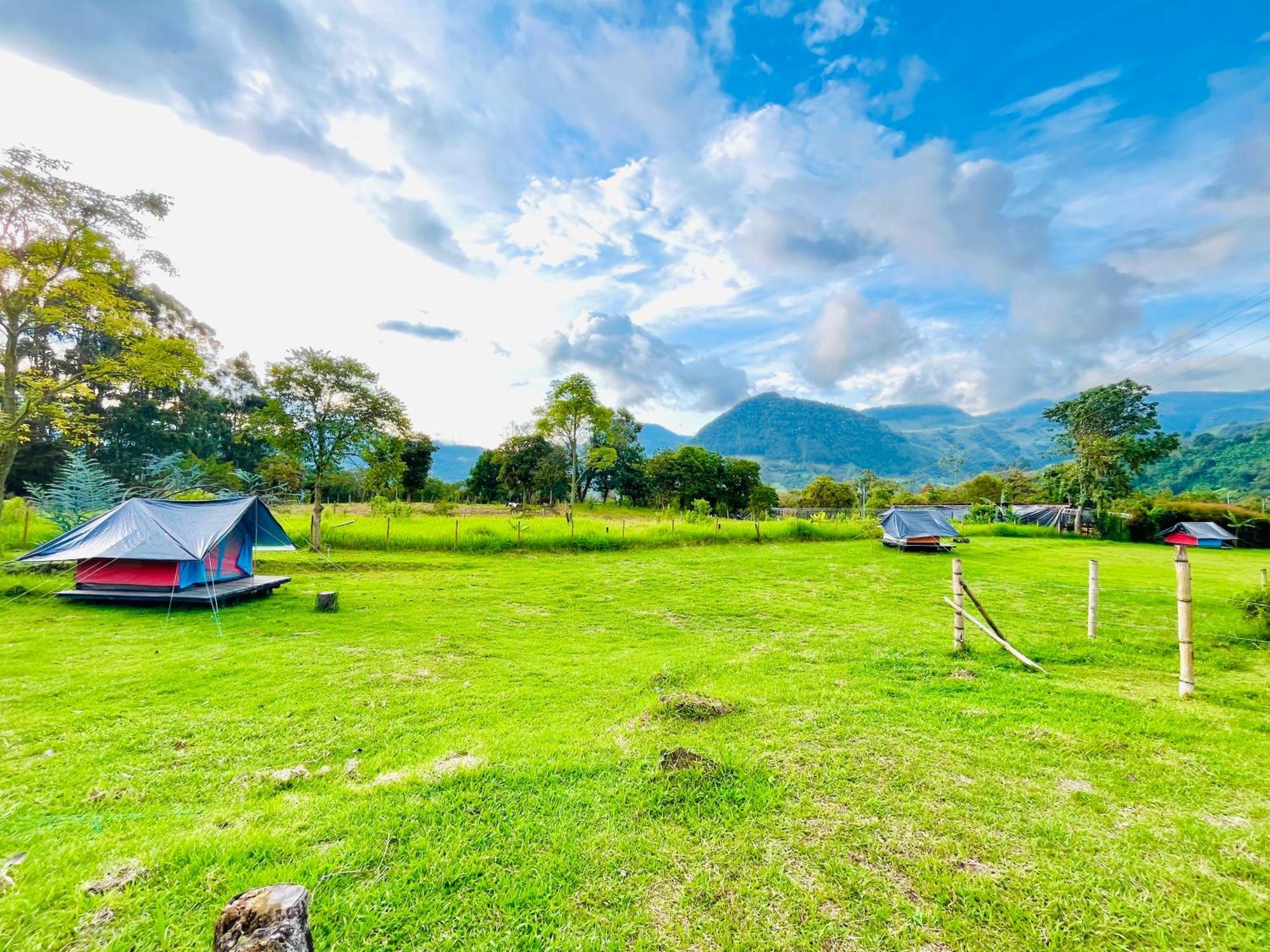 Ecoxplora-Zona De Camping Jardín Εξωτερικό φωτογραφία